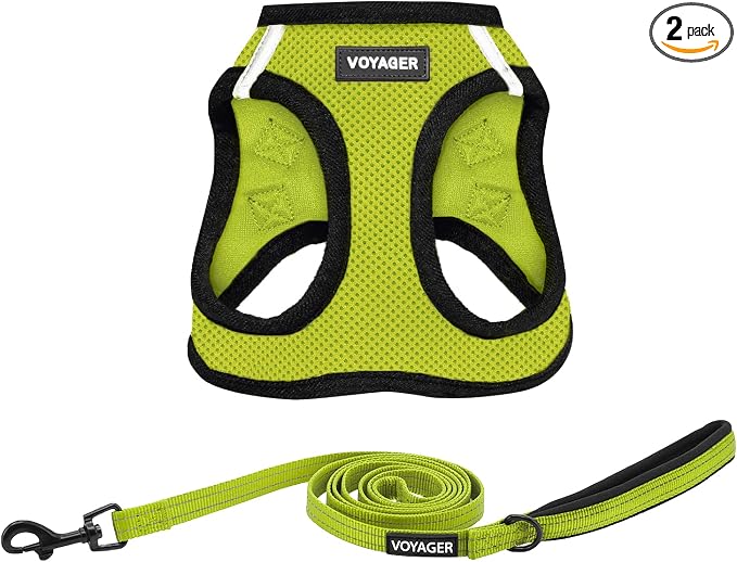 Best Pet Supplies Voyager Step-in Air All Weather Mesh Harness and Reflective Dog 5ft Leash Combo with Neoprene Handle, for Small, Medium and Large Breed Puppies - Set (Lime/Black Trim), X-Large