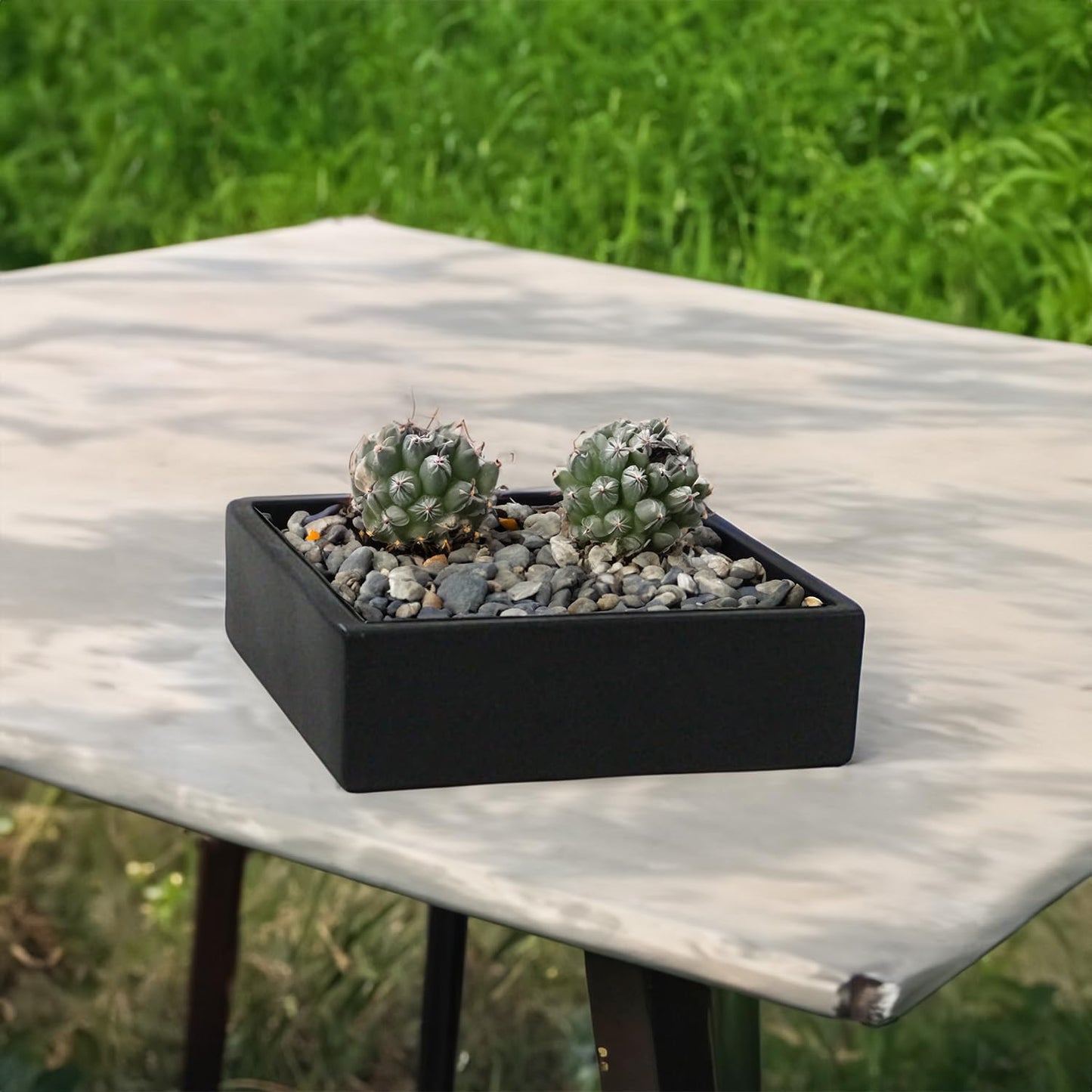 WGVI Black Square Ceramic Vase, Width 10", Height 4", Elegant Morden Short Square Pan Floral Succulent Planter Terrarium Pot Container Tabletop for Accent Home Decor 1 Piece