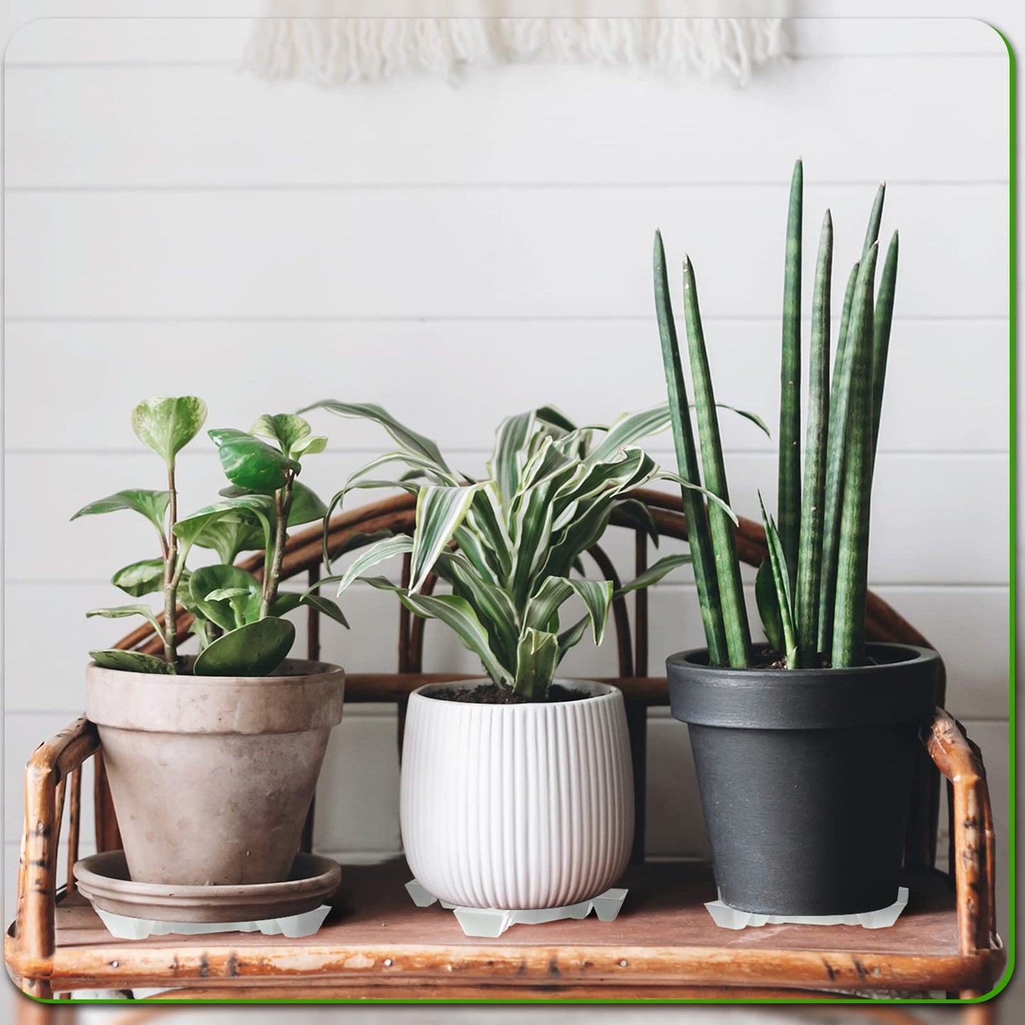 Panelee 6 Pcs Plant Pot Stand Riser Adjustable Cuttable Plastic Under Plant Stand Prevent Water Damage for Outdoor Indoor Pot Holder Garden Patio(11.8 Inch,White)
