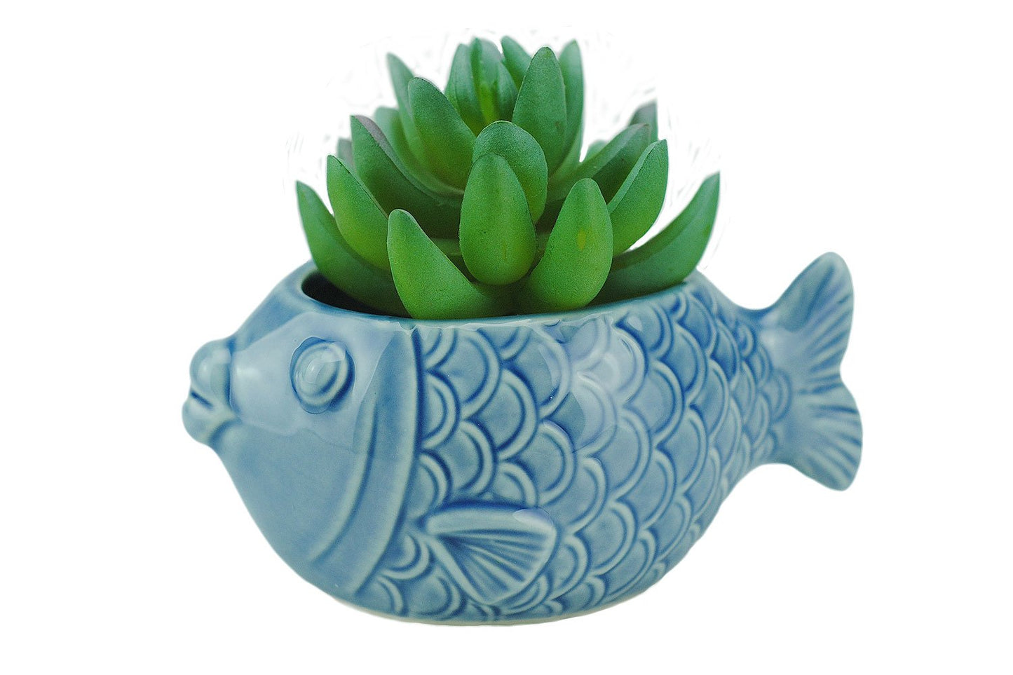 VanEnjoy 5" Ceramic Succulent Pot - Cute Ocean Blue Seashell Series, Conch Shaped Cactus Planter, Flower Pottery Bonsai (Seashell M)