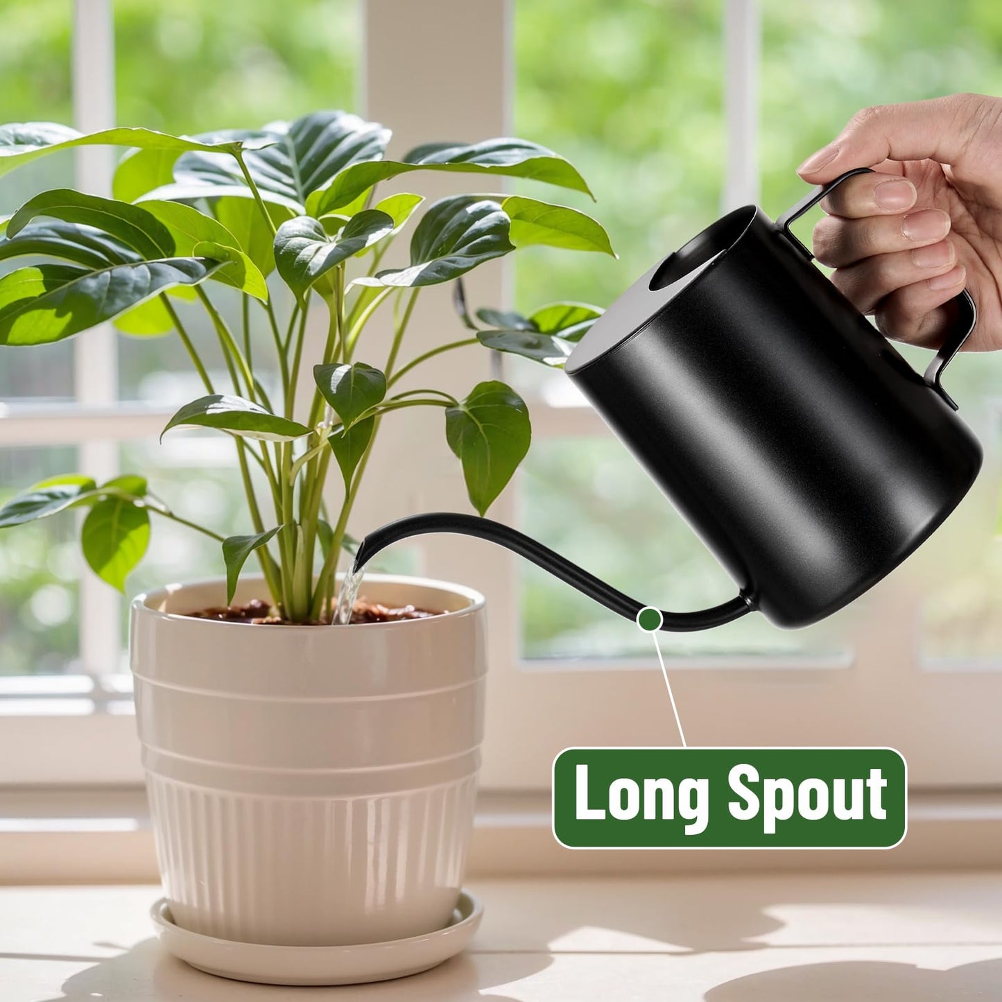 Lizhluzh 20oz/600ml Watering Can Indoor Plants, Stainless Steel Plant Watering Can with Long Spout (Black)