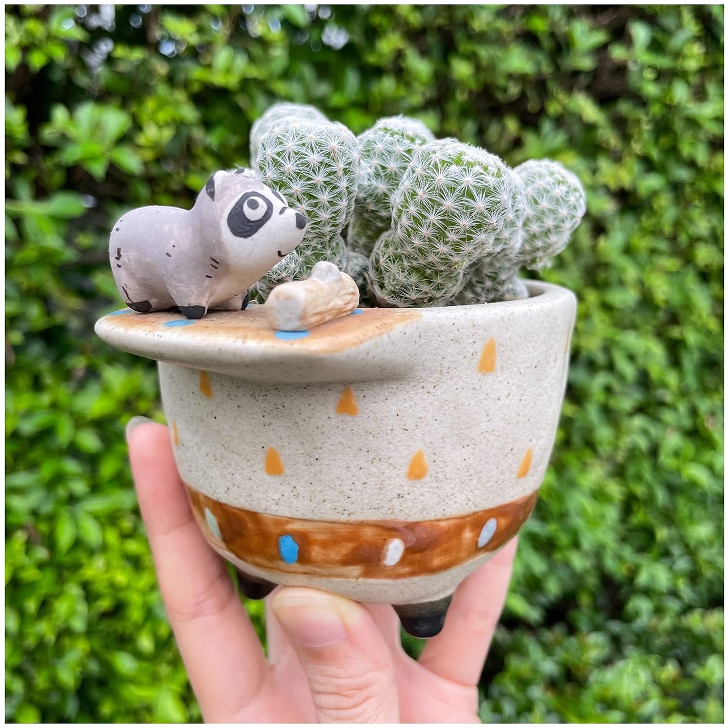 MAKOLO Ceramic Succulent Planter Small Pot with Drainage Hole and Tray for Cactus Flower Plant Container Shelf Home Office Desk Decoration (Raccoon)