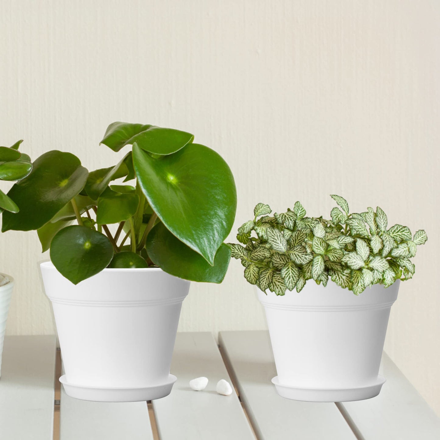 FHWTY 6 Pack 4in Plastic Plant Pots Terracotta & 6 Pack 4in Plastic Plant Pots White