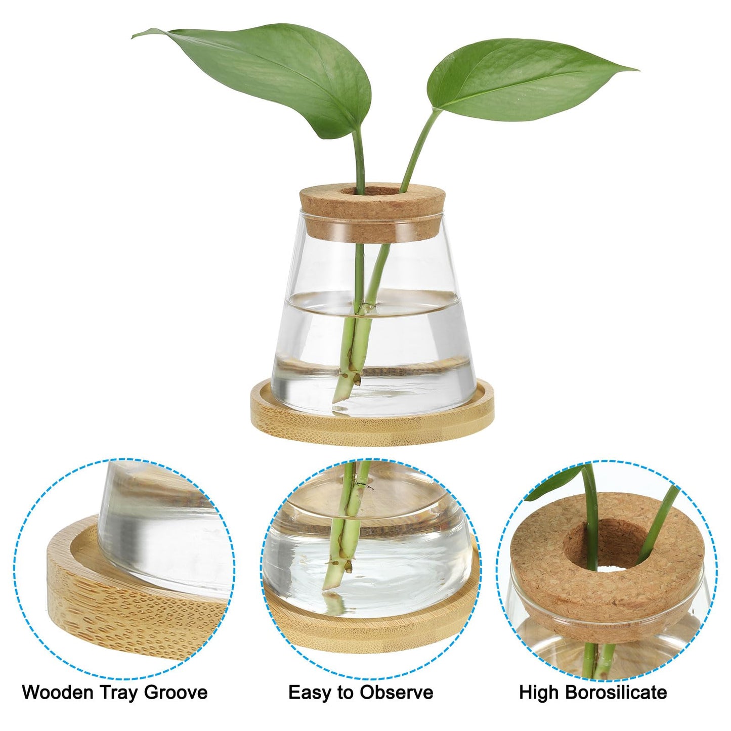PATIKIL Plant Propagation Station Glass Vases, 2 Pcs Desktop Trapezoid Planter Terrarium Vase with Wooden Tray & Lid for Hydroponic Office Home Decor Plants Indoor, Brown