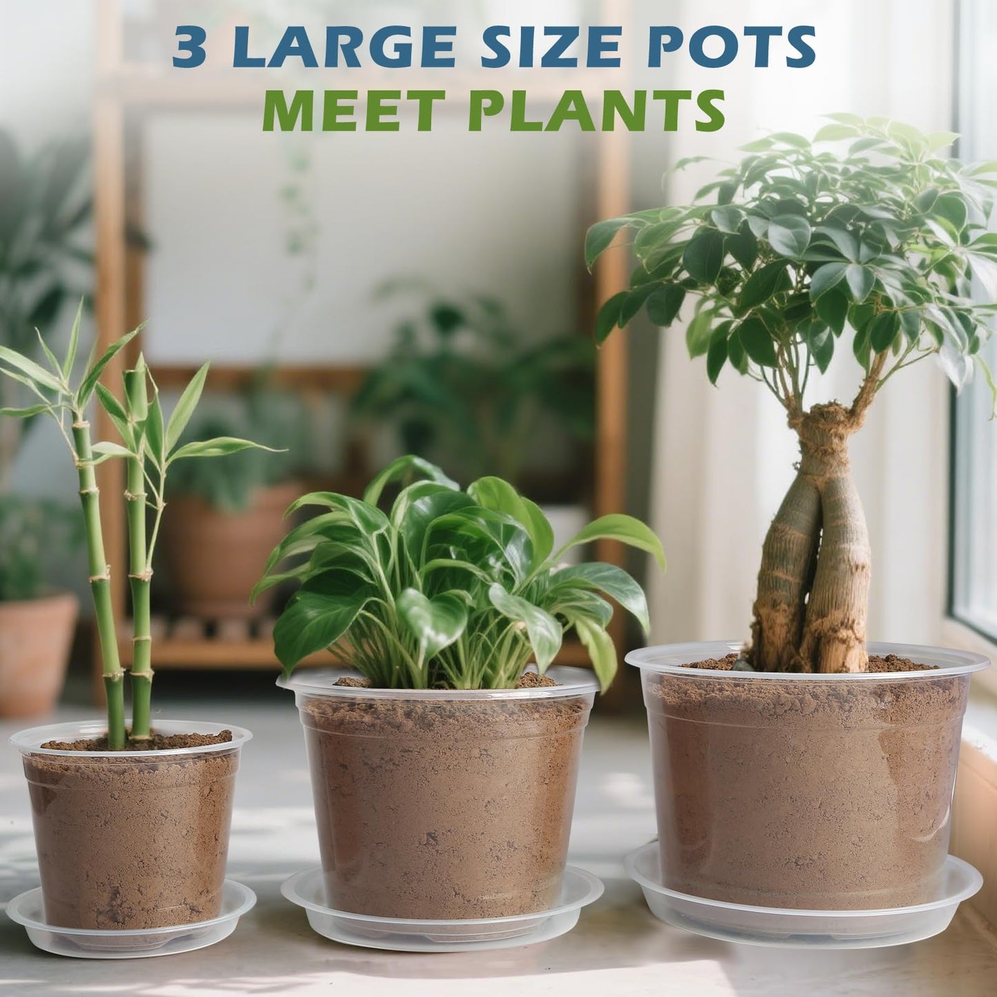 WTXHOP 6/8/10 Inch Large Size Clear Nursery Pots with Drainage and Saucers, 9 Pack Plastic Plant Pots for Seedling Starter, Durable Plastic Pots for Indoors