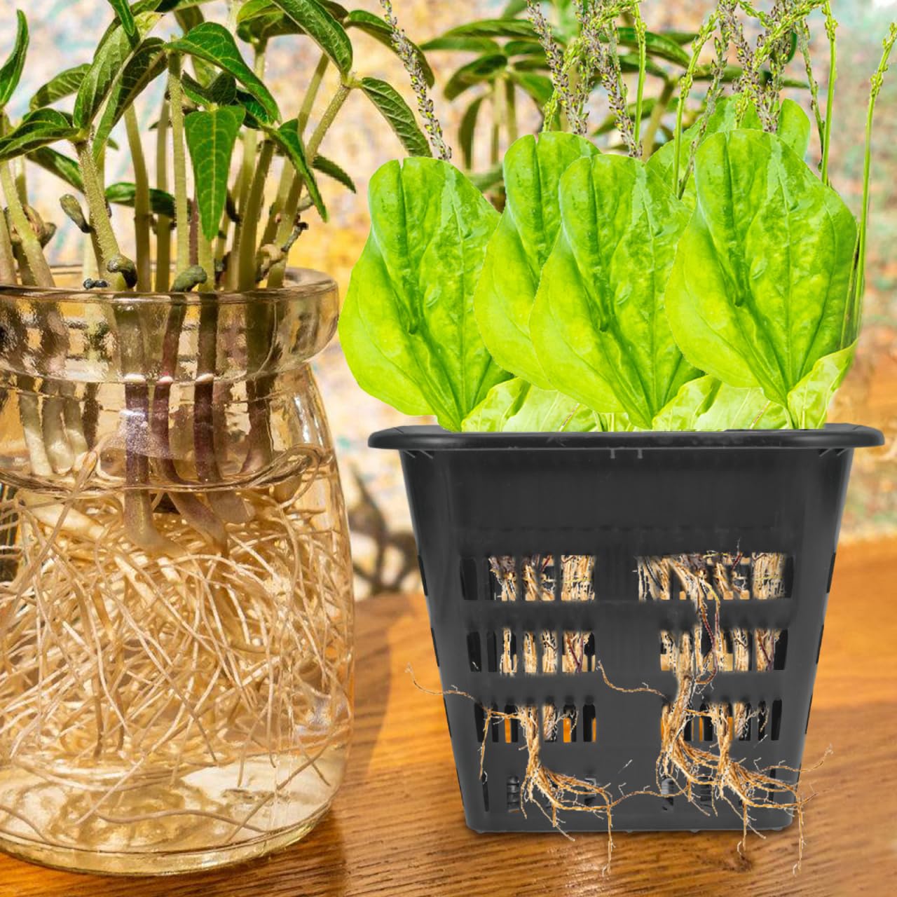 Toddmomy 8Pcs 5.5" Square Net Pots, Heavy Duty Slotted Hydroponic Baskets, Reusable Plastic Plant Nursery Cups for Orchids Aquaponics Pond Plants