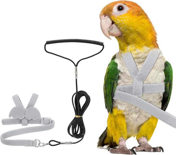 Bird Harness Leash, Adjustable Pet Parrot Bird Harness and Leash Lightweight Anti-Bite Flight Training Rope with Cute Wing, (Gray, M), Intended for Parrots/Pigeons/Budgies