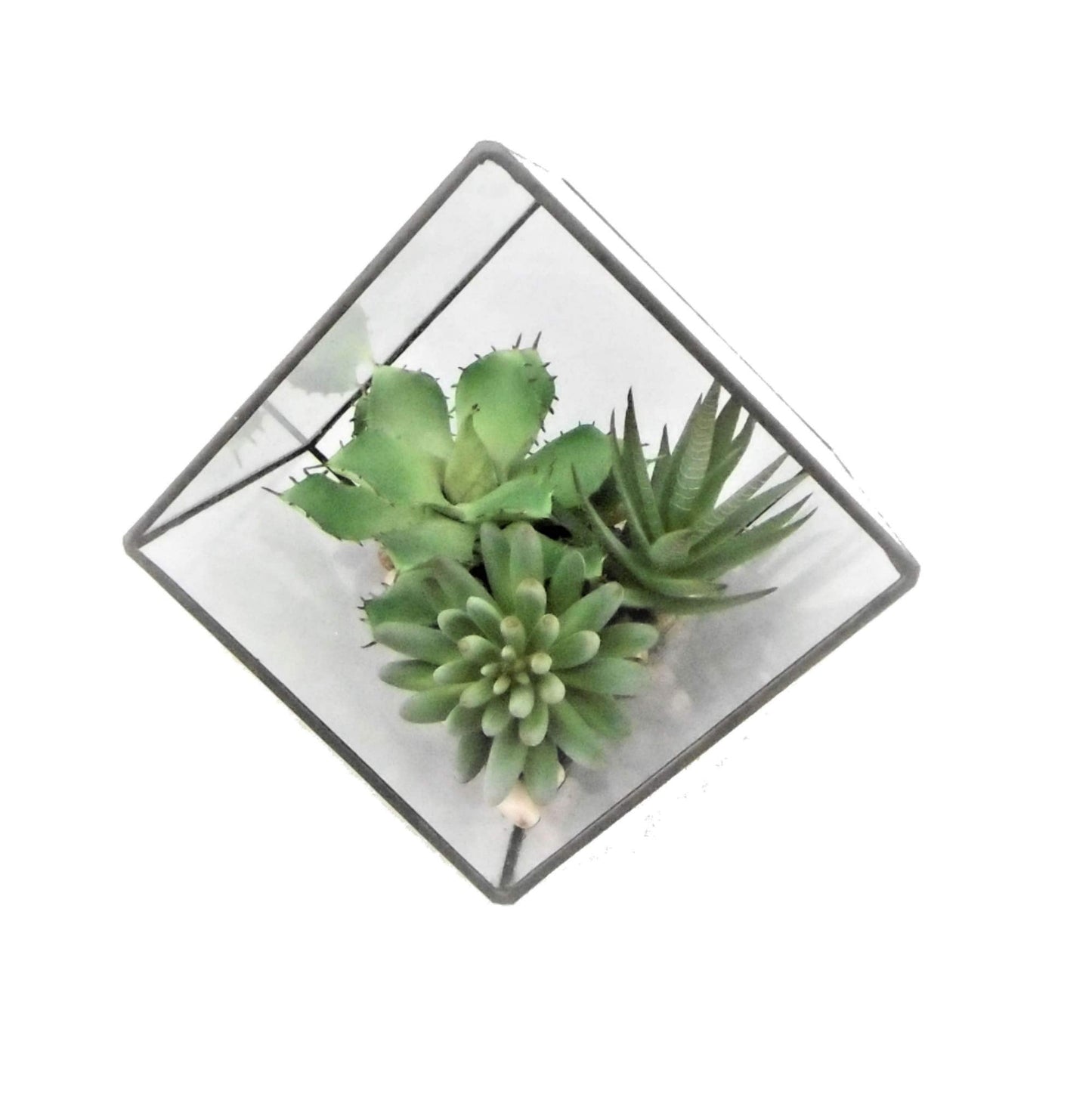 Vickerman Everyday 7.5" Indoor Artificial Green Succulents - Geometric Glass Terrarium - Pre-Made Durable Faux Plants in Glass Terrarium - Maintenance Free