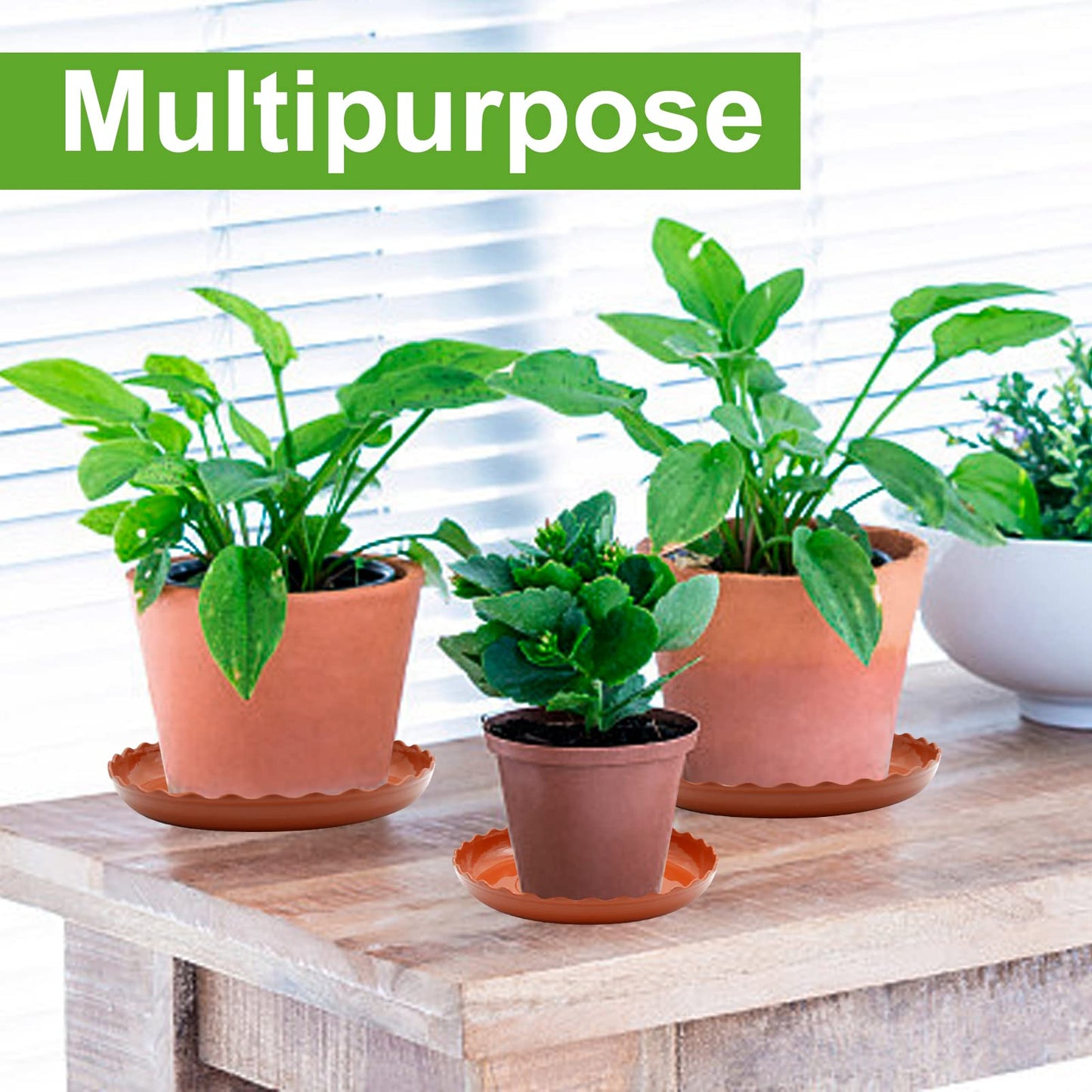 Aynaxcol 12 Pack White Plant Trays 3 Sizes Plastic Round Wave Plant Saucer Flower Plant Pot Saucer Terracotta Drip Trays for Indoor Outdoor Flower Pots and Planters, with 20pcs Green Plant Labels