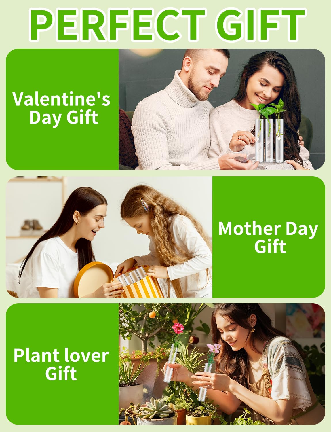 16 Tube Glass Plant Propagation Stations Clear Glass Test Tubes Tiered Planters Accessories for Home Office Plant Hanger Flower Vases Wall Decor Hydroponic Cuttings Clear Vases