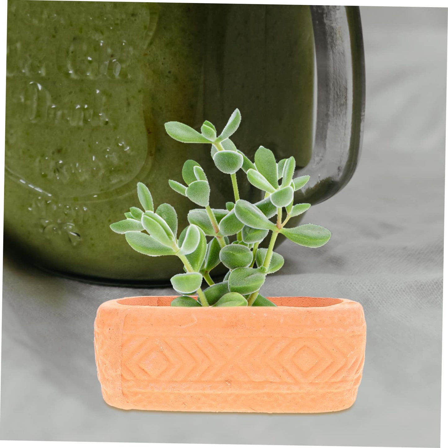 ORFOFE Mini Ceramic Nursery Pots 6-Pack Lightweight Plant Containers with Drainage Holes for Seedlings Succulents Indoor Gardening 1.88X0.70X0.70In