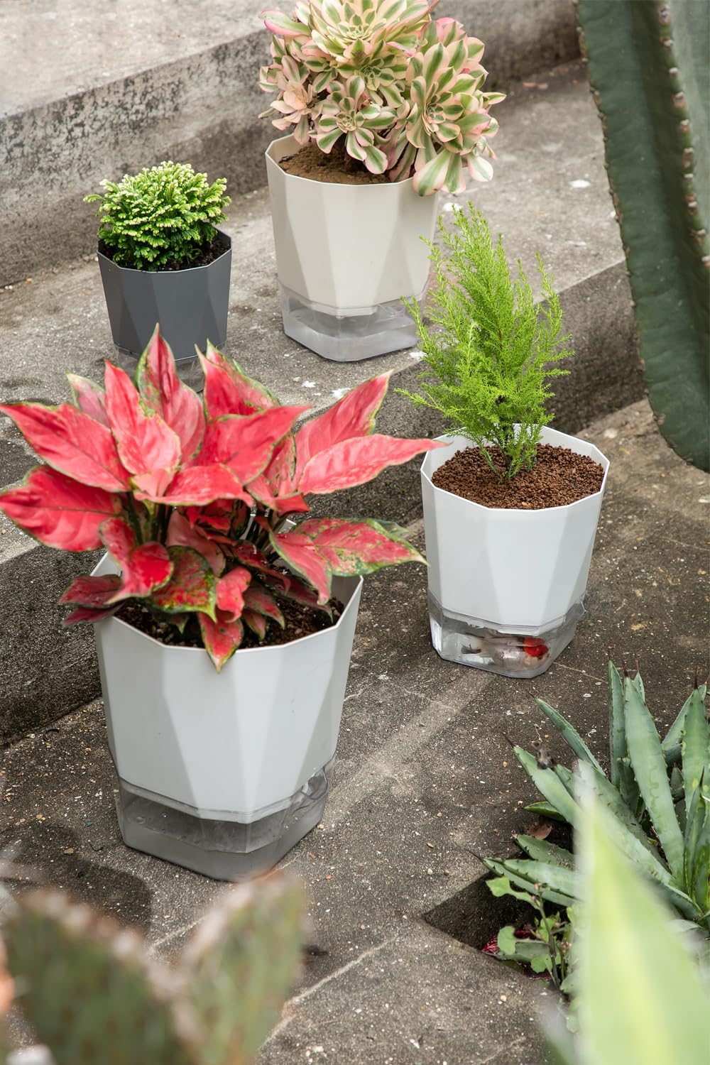 Qimodo 3 Pack 8.5/6.7/5 Inch Plastic Self Watering Indoor Planters,Modern Decorative Plant and Flower Pots for Succulents,Aloe,Herbs,African Violets,Peace Lily with Absorbent Rope,White
