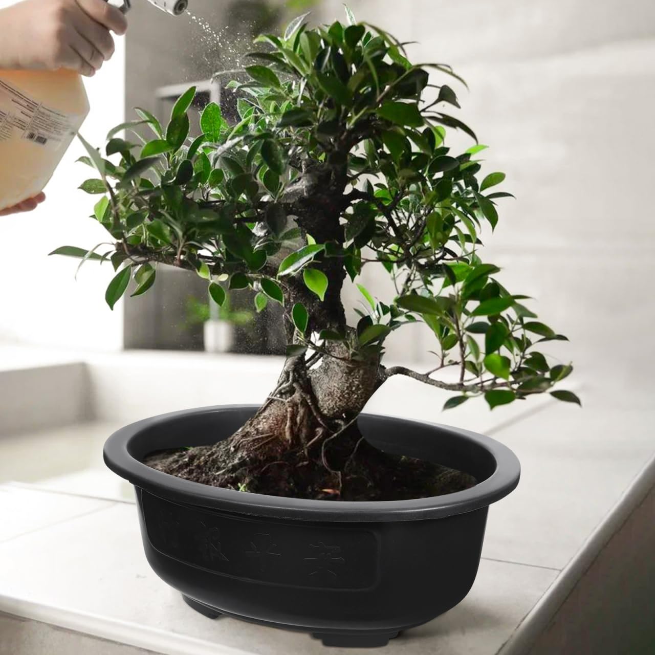 DOITOOL 2 Pcs Large Bonsai Pots 15 Inch Plastic Oval Training Planter with Drainage Holes Deep Tree Bowl for Succulent Nursery