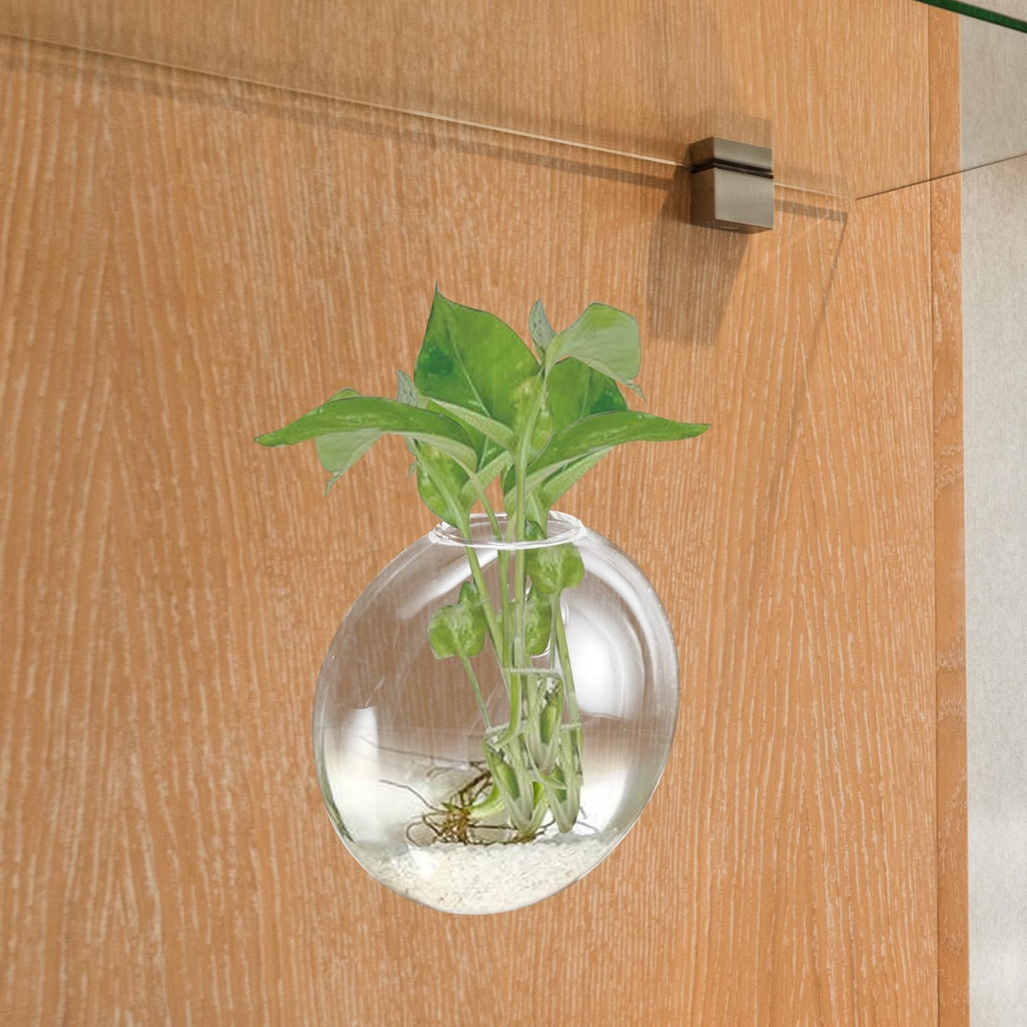 CVUTOVO Wall Mounted Glass Vase for Indoor Plants, Small Hydroponic Planter, Hanging Terrarium Container for Home Décor, 1pcs