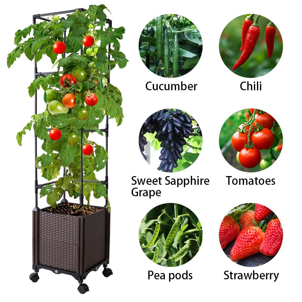 Antmoilios Raised Garden Bed with Tomato Cage & Trellis, 56" Self-Watering Tomato Planter Box for Vegetables Flowers | Lockable Wheels, Vertical Gardening | Indoor Outdoor Patio Use, Easy Assembly