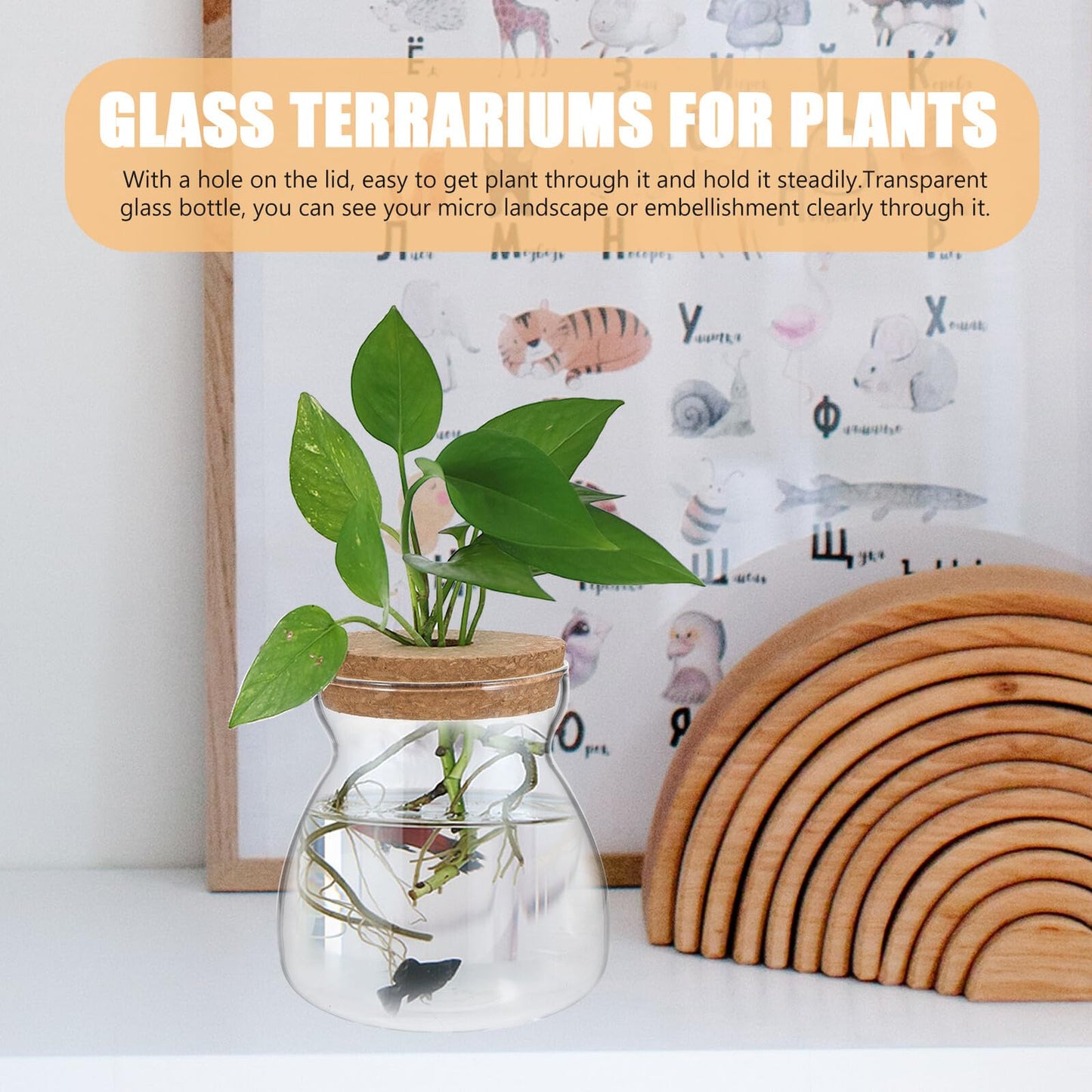 IDEANATEGRATE Glass Plant Jar Hole Lid Micro Landscape Terrarium Container Hydroponic Vases for Desktop Gardening Glass Ecosystem Container (Size)