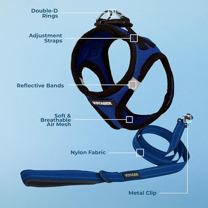 Best Pet Supplies Voyager Step-in Air All Weather Mesh Harness and Reflective Dog 5ft Leash Combo with Neoprene Handle, for Small, Medium and Large Breed Puppies - Royal Blue/Black Trim, X-Small