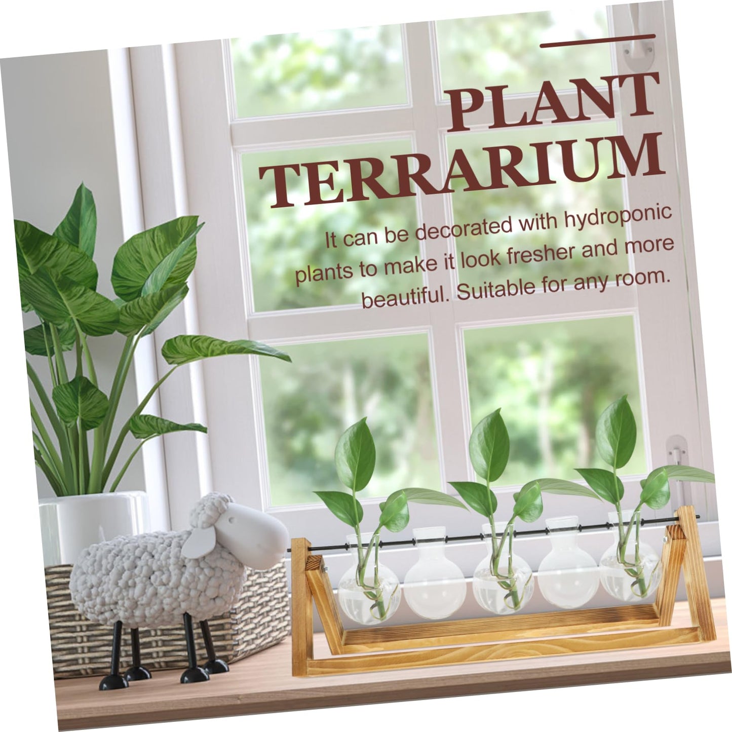 BESPORTBLE Wooden Stand Plant Propagation Glass Vases for Hydroponic Plants Terrarium for Home Decor