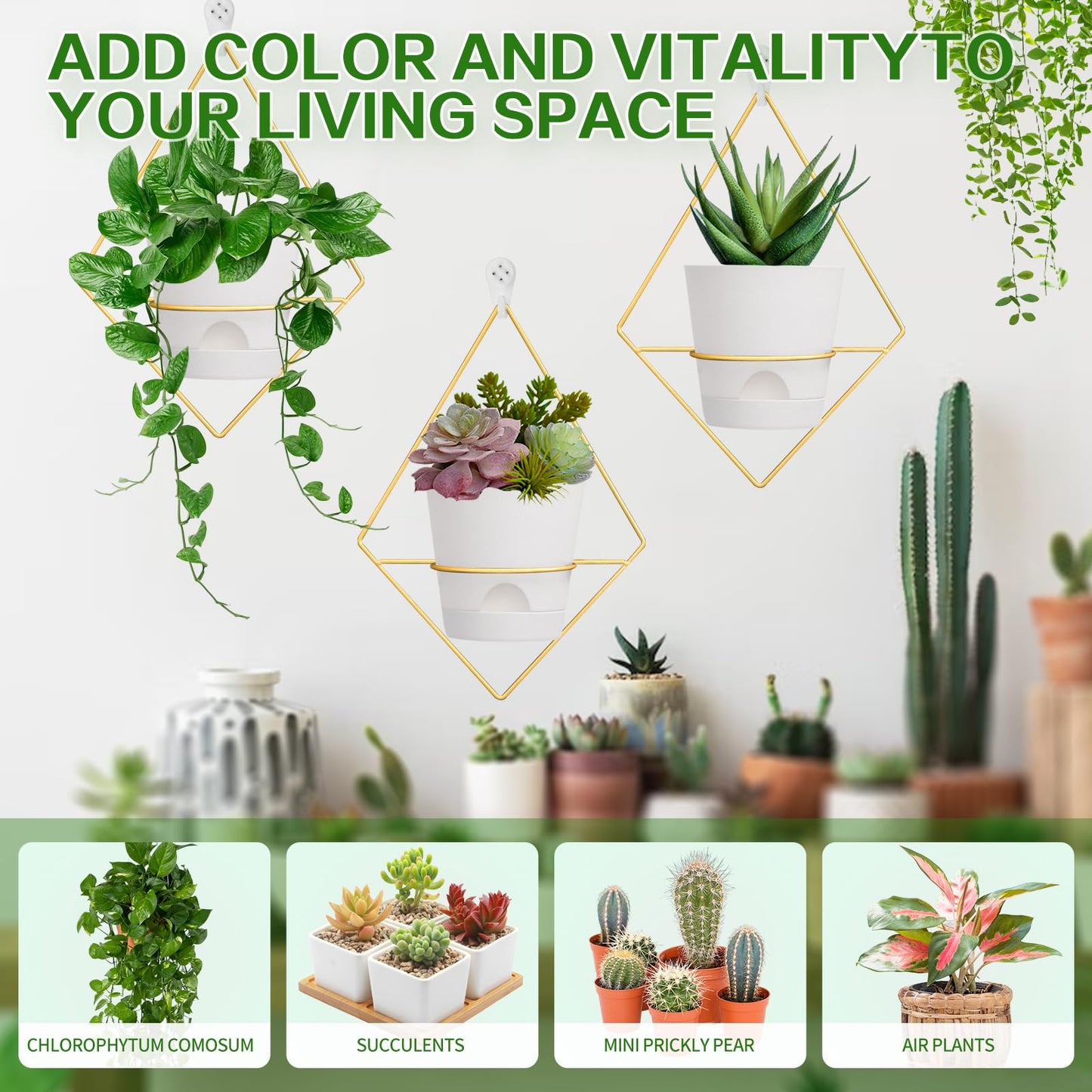 Koalaime 3 Sets Wall Planters for Indoor Plants Geometric Hanging Planters for Indoor Plants - Self-Watering Flower Pots with Black Metal Holder, Mounted Succulent Planter, 5" Black Plant Pot