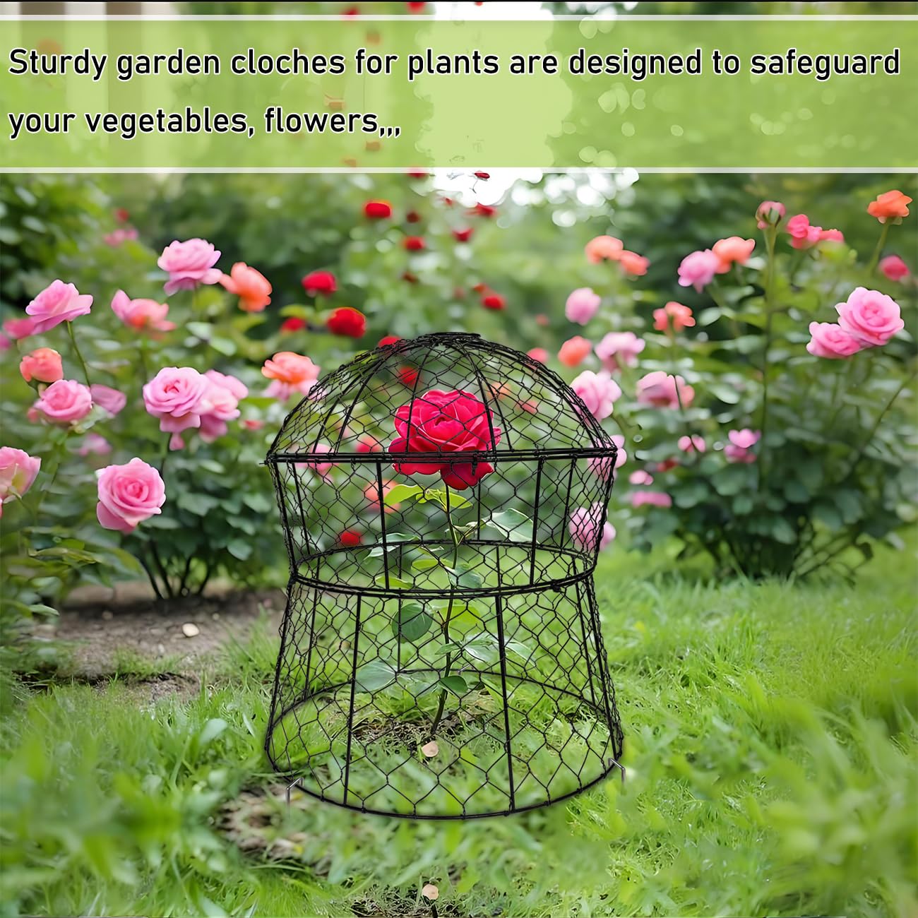 JAWULIJA Garden Cloches for Plants 2 Pack Metal Plant Protectors from Animals Chicken Wire Cloche Updated Plant Cages for Outdoor Plants Vegetables Seedlings 13" D x 14" H
