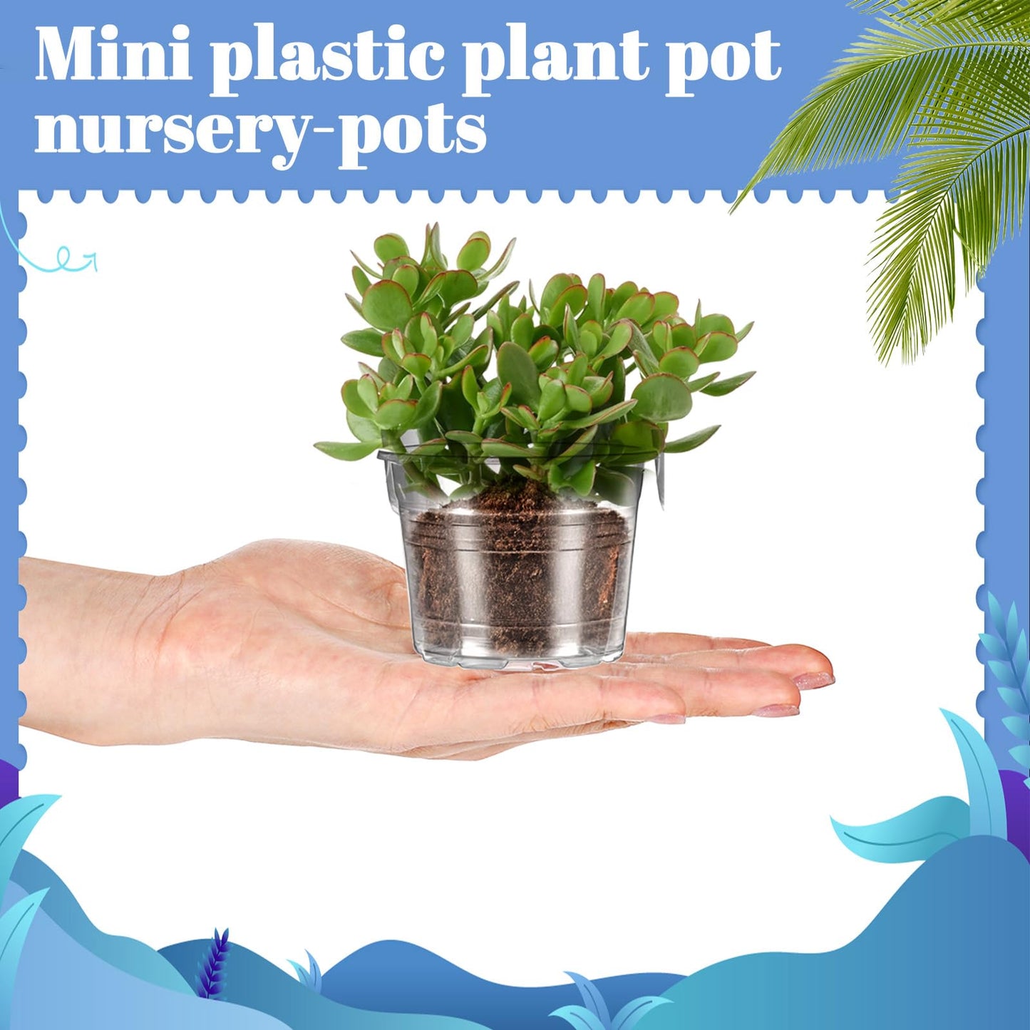 wutfuooo 200 Pcs Clear Mini Plastic Plant Pot Nursery Seedling Pots Seed Starter with Drainage Holes for Indoor Outdoor Garden Succulent Plants Cuttings Transplanting