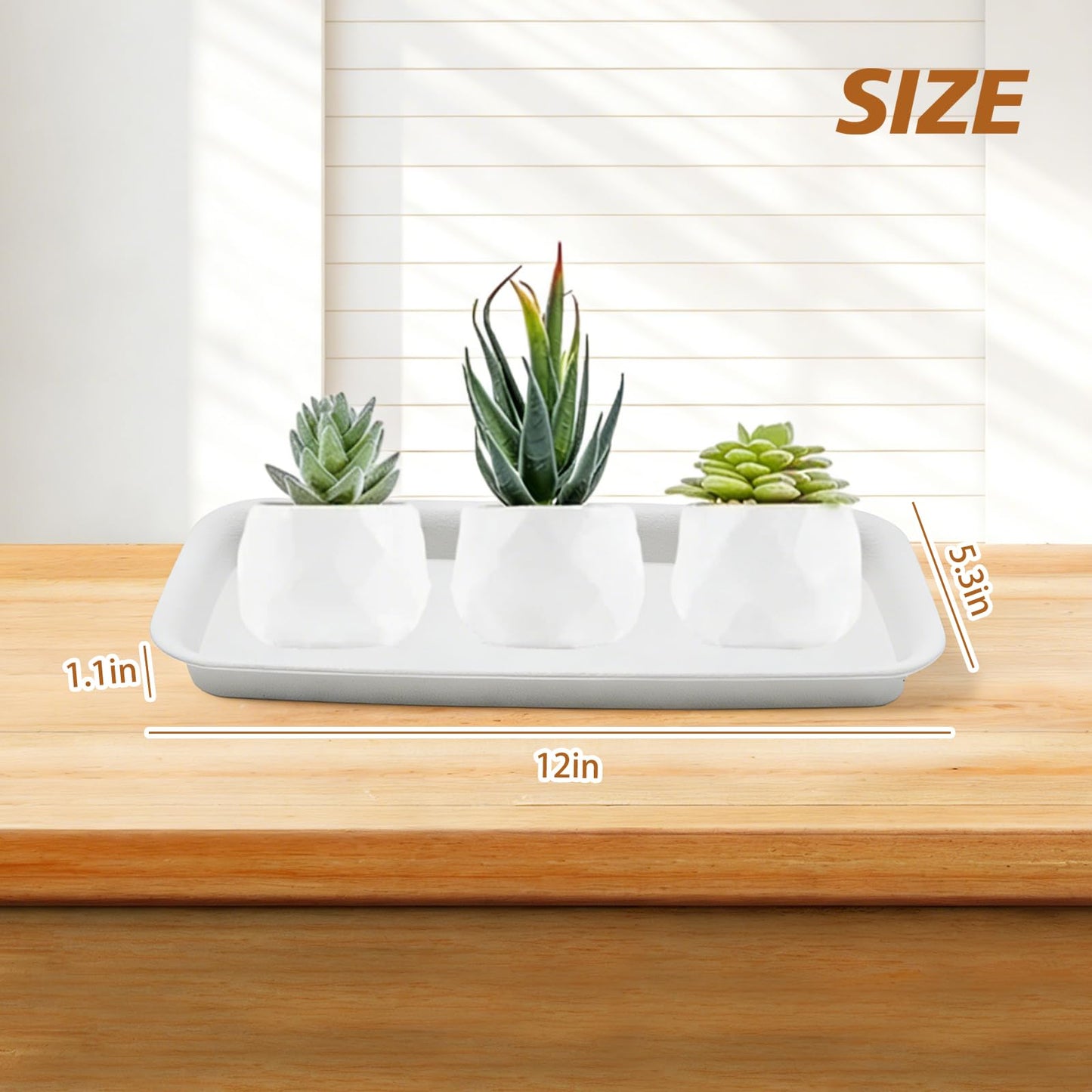 AXGSRV Plastic Pallet, Heavy Duty Warehouse Storage Platform with Non-Slip Surface, Industrial Grade Plant Tray for Logistics Manufacturing and Oblong Plant Saucer