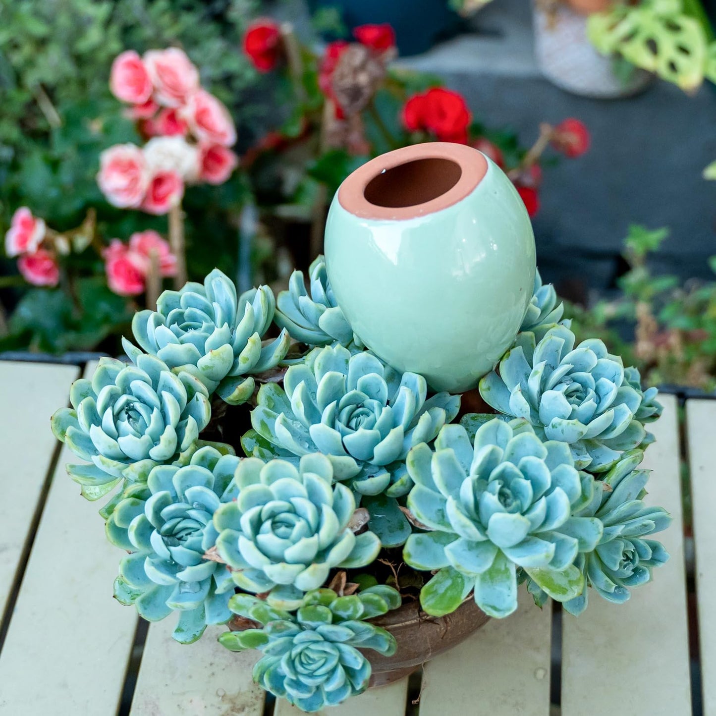 MOUGIGI 4-Pack Self Watering Planter Insert - 2 Blue and 2 Green Ceramic Watering Globes for Indoor Plants, Terracotta Bulbs, and Small Plant Pots - 300ml Capacity, 1 Weeks Autonomy