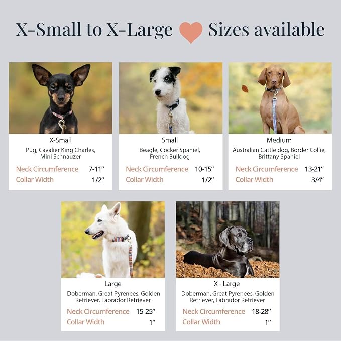 Lucky Love Dog - Adjustable Dog Collar with Easy Click Buckle for Large Dogs, Durable, & Comfortable for Male & Female Dogs, Pet Collar for Puppies & Adult Ones - Nacho, XL