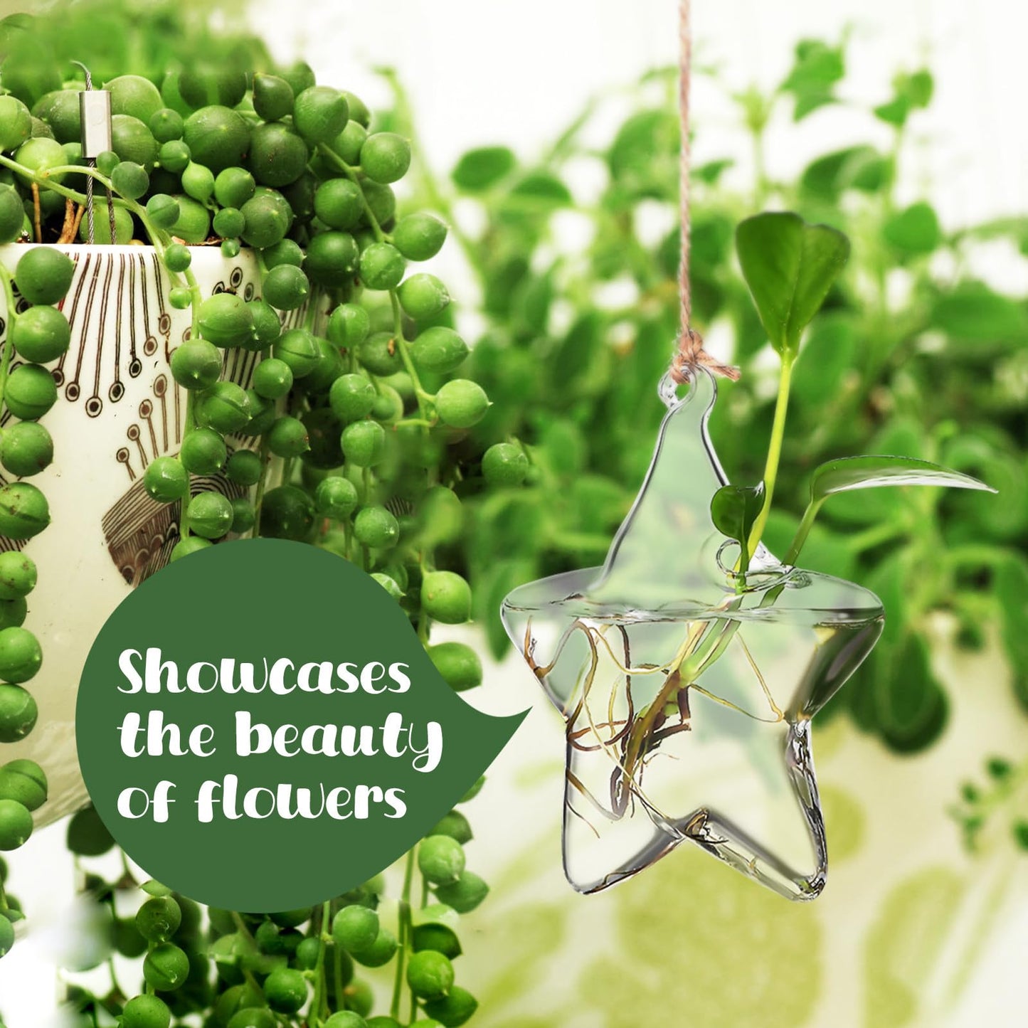 Housoutil Hanging Glass Vase Hydroponic Glass Terrarium Marine-Inspired Shape for Indoor Plants Home Décor