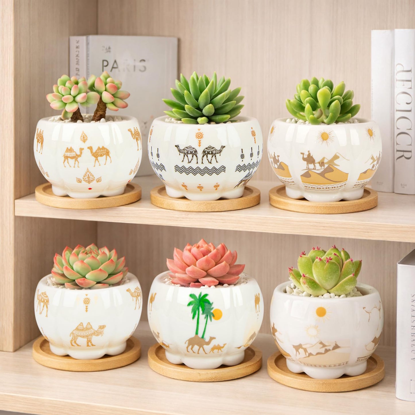 Succulent Pots - 3.1 Inch Small Plant Pots with Drainage Tray, Ceramic Flower Pots for Indoor Plants, 6 Pack Succulent Planters for Cactus Plants, Home Office Decor