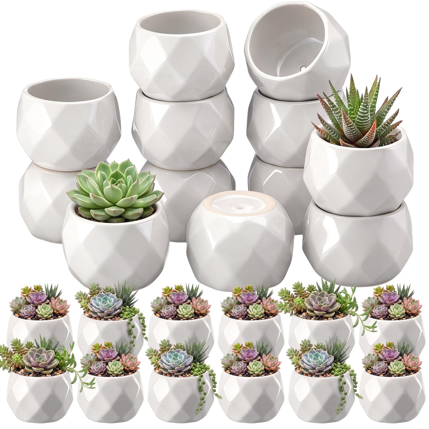 Acellegic 24 Pack 2.5 Inch Mini Succulent Plant Ceramic Pot with Drainage Hole, Small Pineapple Clay Garden Planter for Succulents, Cactus, DIY Easter Spring Craft Activity(White,Fashion)