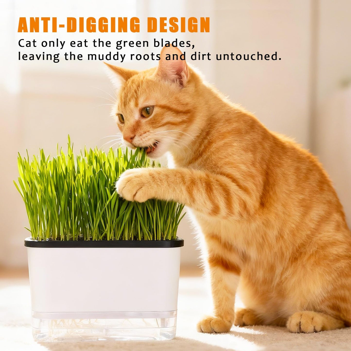 BENPIN Self-Watering Cat Grass Planter (no Seed Included), with Drainage Holes and Anti-Digging Design, Wheat Grass Growing Pot, Cat Grass for Indoor Cats Pets (1)