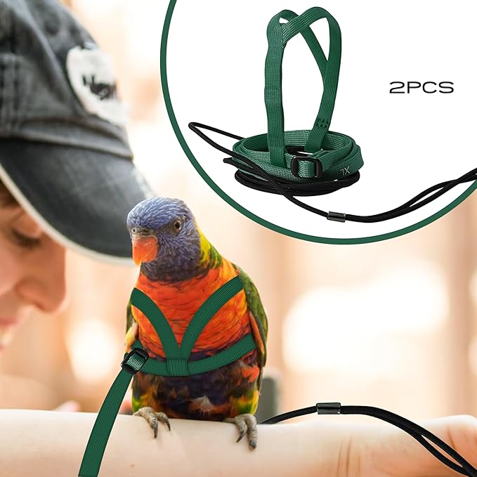 2 pcs Pet Parrot Bird Harness and Leash, Adjustable Training Design Anti-Bite, Outdoor Flying Training Rope Kit for Bird Parrots Fits Birds Chest Between46-76cm /18.11-29.92inch - XL (Green)