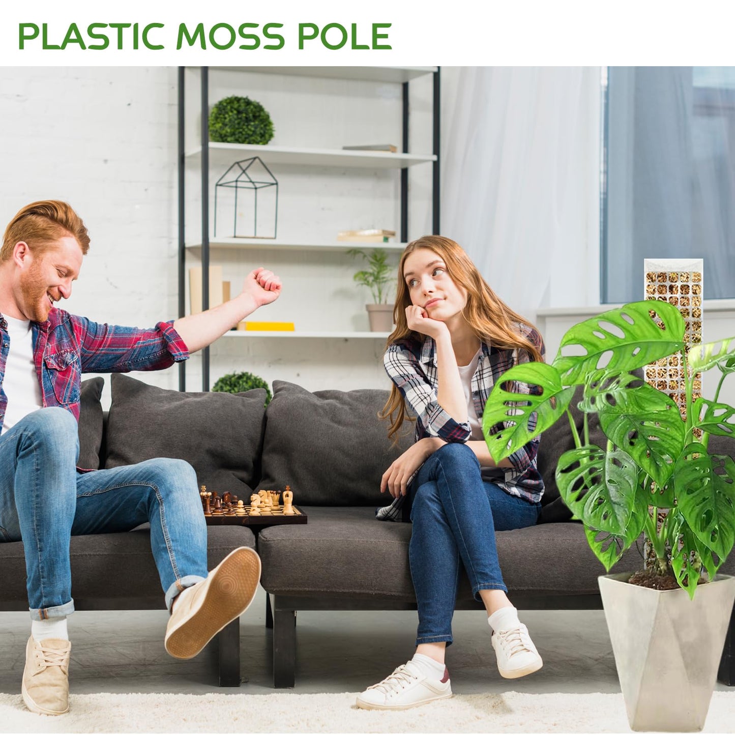 4 Pack 24 Inch D-Shaped Clear Plastic Moss Pole for Plants Monstera, Stackable Climbing Plant Support for Monstera, Pothos, Philodendron, Open Design for Sphagnum Moss