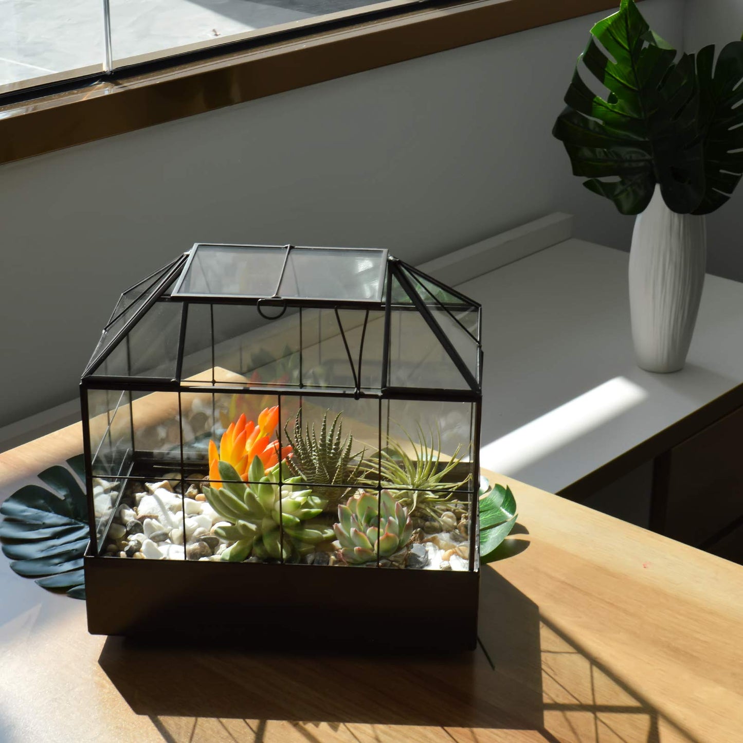 YIMORENCE V Large Tall Plant Terrarium Glass Greenhouse with Lid and Tray, Indoor Tabletop Orchid Succulent Cacti Kit 9.5'X9.8'X5.6'