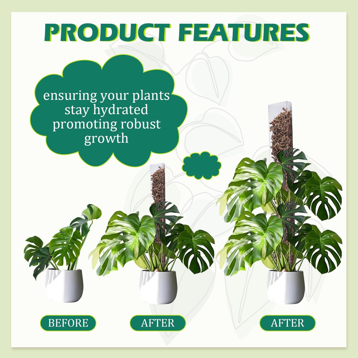 Quzzil 10 Pieces Plastic Moss Pole for Monstera Including 4 Pcs 24 Inch Clear Plant Poles for Indoor Climbing and 6 Pcs 15 Inch D Shape Stackable Plant Support Kit Work with Sphagnum Moss