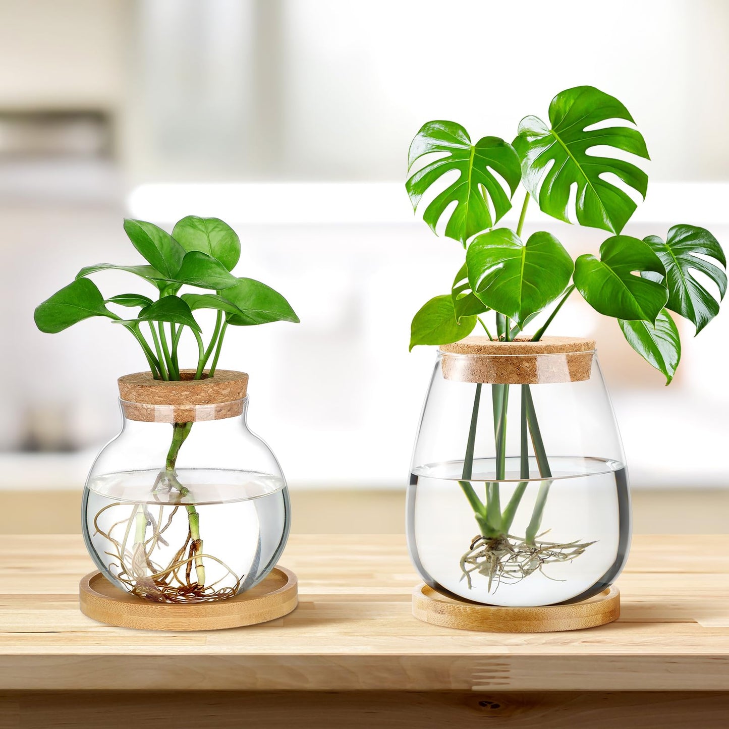 Layhit 4 Pcs Plants Propagation Stations vases Glass Planters with Wooden Lid and Bamboo Stand for Hydroponic Plants Gardening Gifts for Women Mom Home Office Tabletop Decoration(Lovely Style)