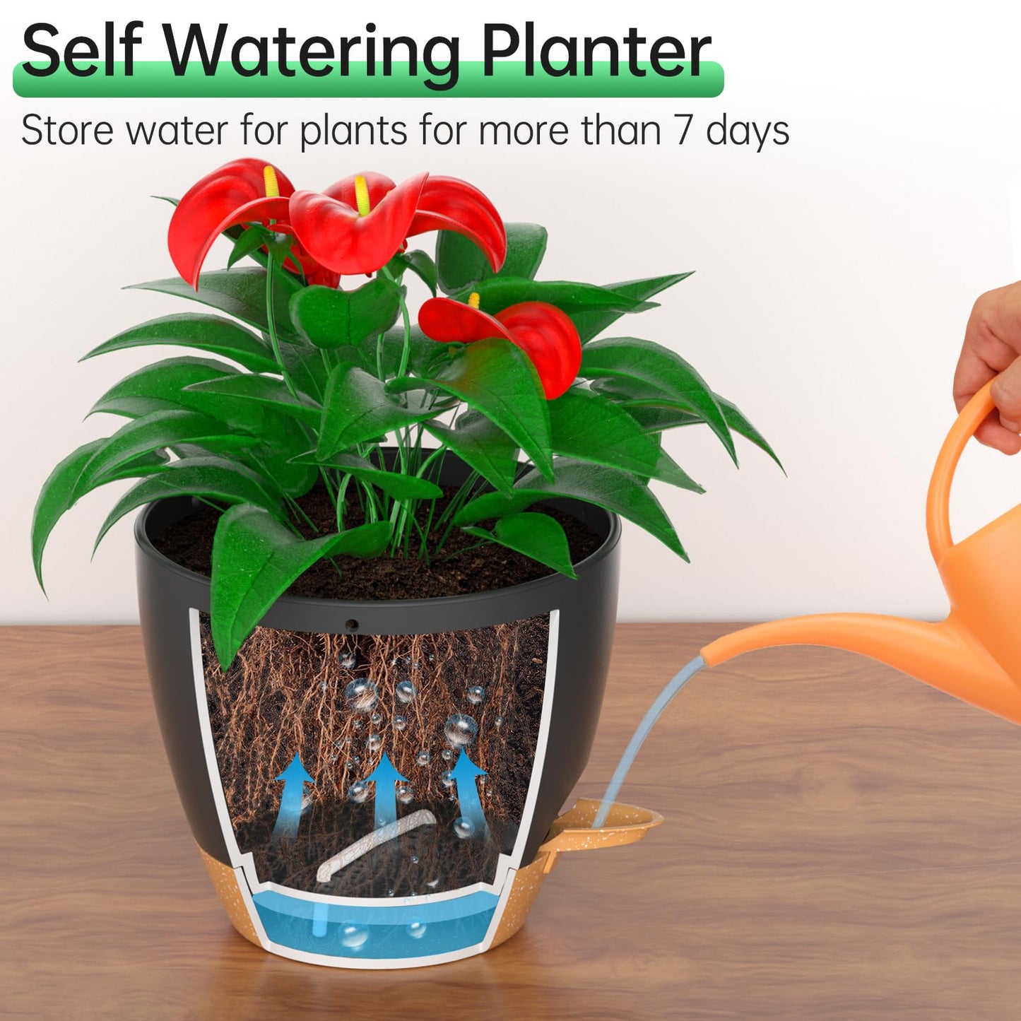 ZMTECH 8 Inch Hanging Planters for Indoor Outdoor Plants, 2 Pack Self Watering Hanging Plant Pots with Drainage Holes and Removable Saucer, Plastic Flower Hanging Pots with Watering Lip (Black)
