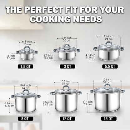 Cook N Home Basics 5.5 Quart Stainless Steel Stock Pot with Lid, Cooking Pot for Pasta, Soup, Stay-Cool Silicone Handle, Stockpot with Even Heating, Oven Safe, Cookware for Canning, Boiling, Simmer