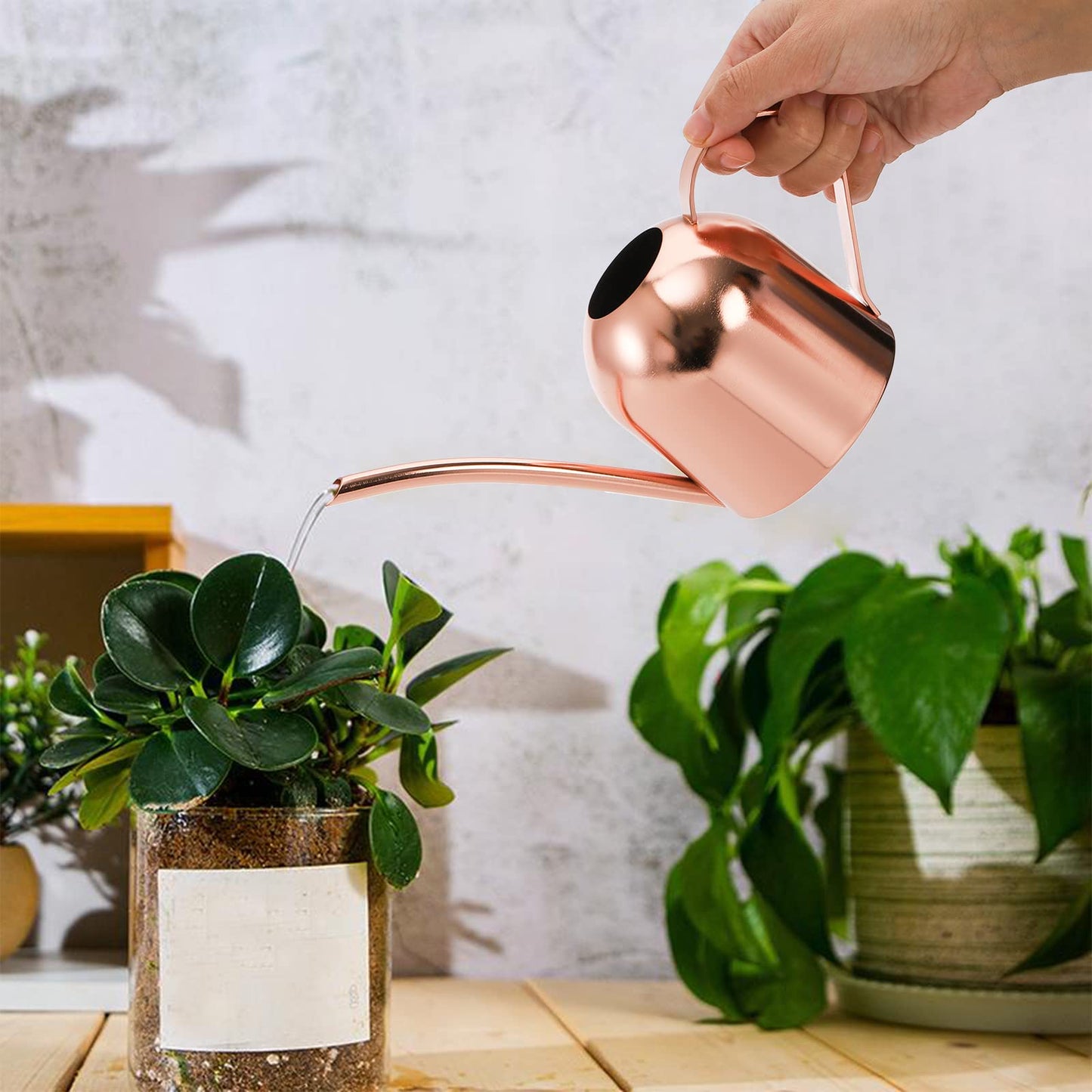 Fasmov Stainless Steel Watering Can, Small Modern Style Watering Pot, 15oz/450ml Plant Watering Can with Long Spout to Prevent Spillage, Perfect for Outdoor and Indoor Plants (Copper)