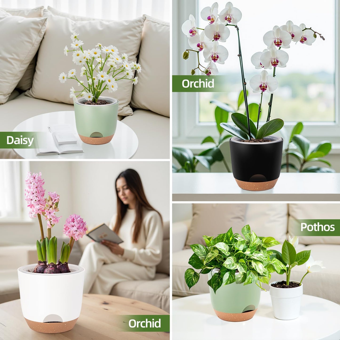 Sxueg Self Watering Orchid Pots for Indoor Plants,5.8 Inch Macetas para Orqudeas,Flower Pots for Indoor Plants with Holes(Black)