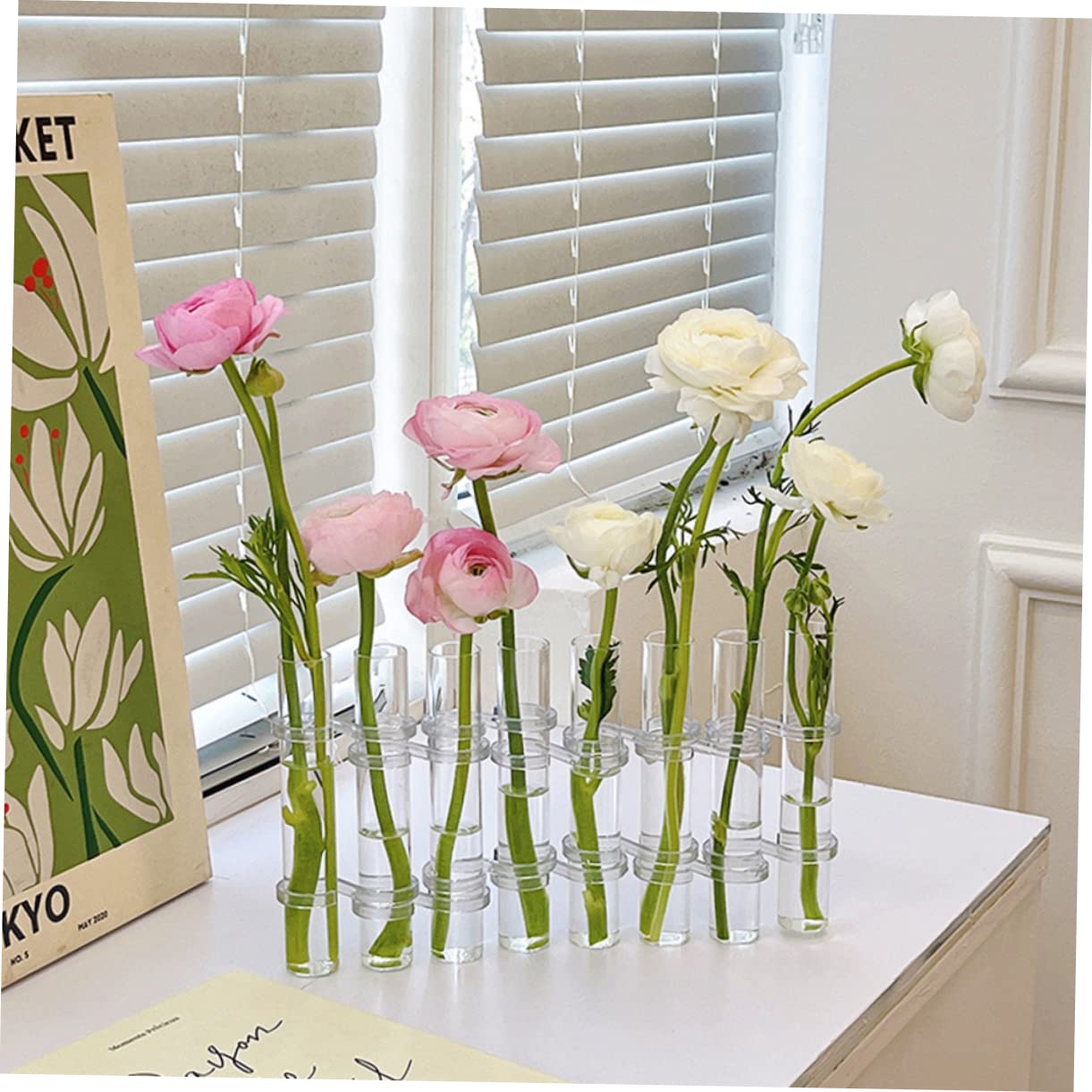 VICASKY Hydroponic Test Tube Vases 6-Piece Glass Plant Propagation Kit for Indoor Home Decor Wall Hanging Planter and Desktop Terrarium Arrangement