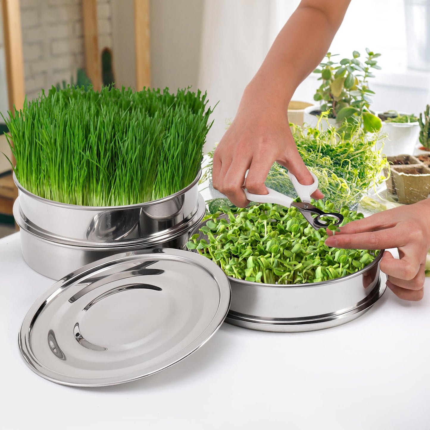Tlence 9" Stackable Stainless Steel Seed Sprouting Kit, 3-Tier Mesh Germination Tray, Seed Sprout Grower with Lid Base, Microgreens Propagator for Beans Peas Broccoli Wheat Grass, Soil Free