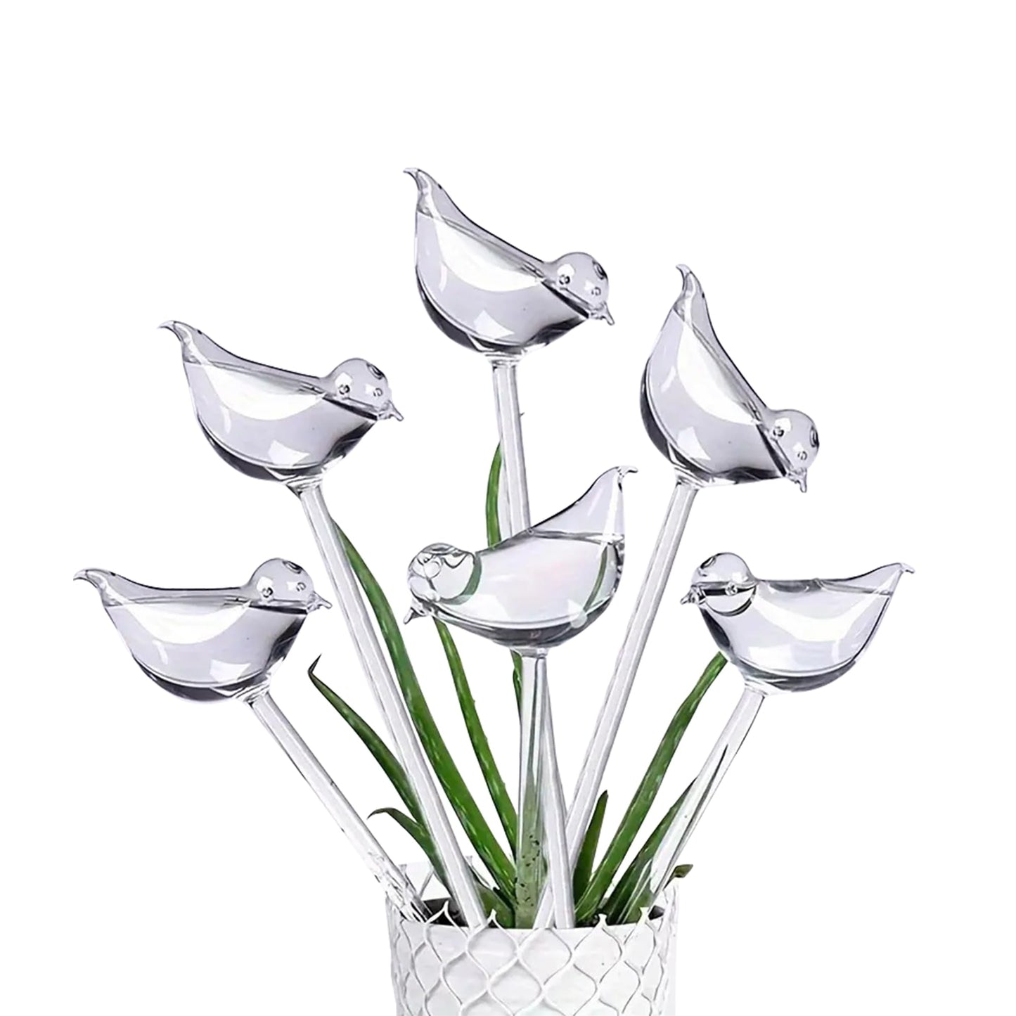 ZHUSSZHU 6 Small Handmade Bulbs PottedPlants Water Home Indoor-Outdoor GardenPatio Hanging Flower Spikes DecorationAutomatic Irrigation System (not Glass)