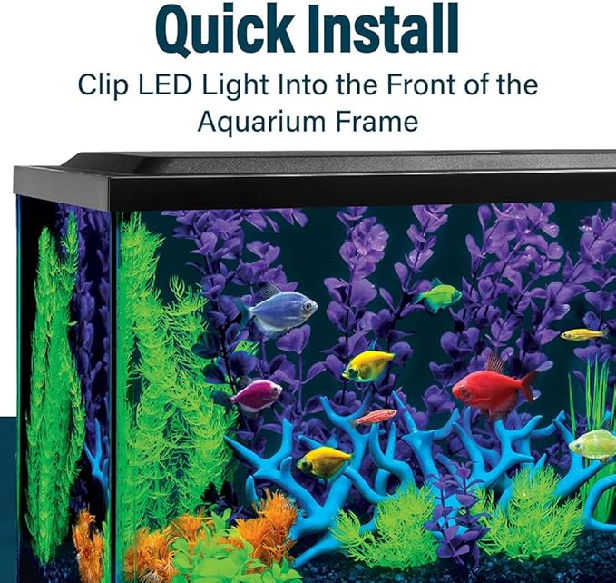 GloFish 8-Inch LED Light Stick for Fish Aquariums Up to 5 Gallons, 1 Count, with White, Blue and Magenta LED Lights