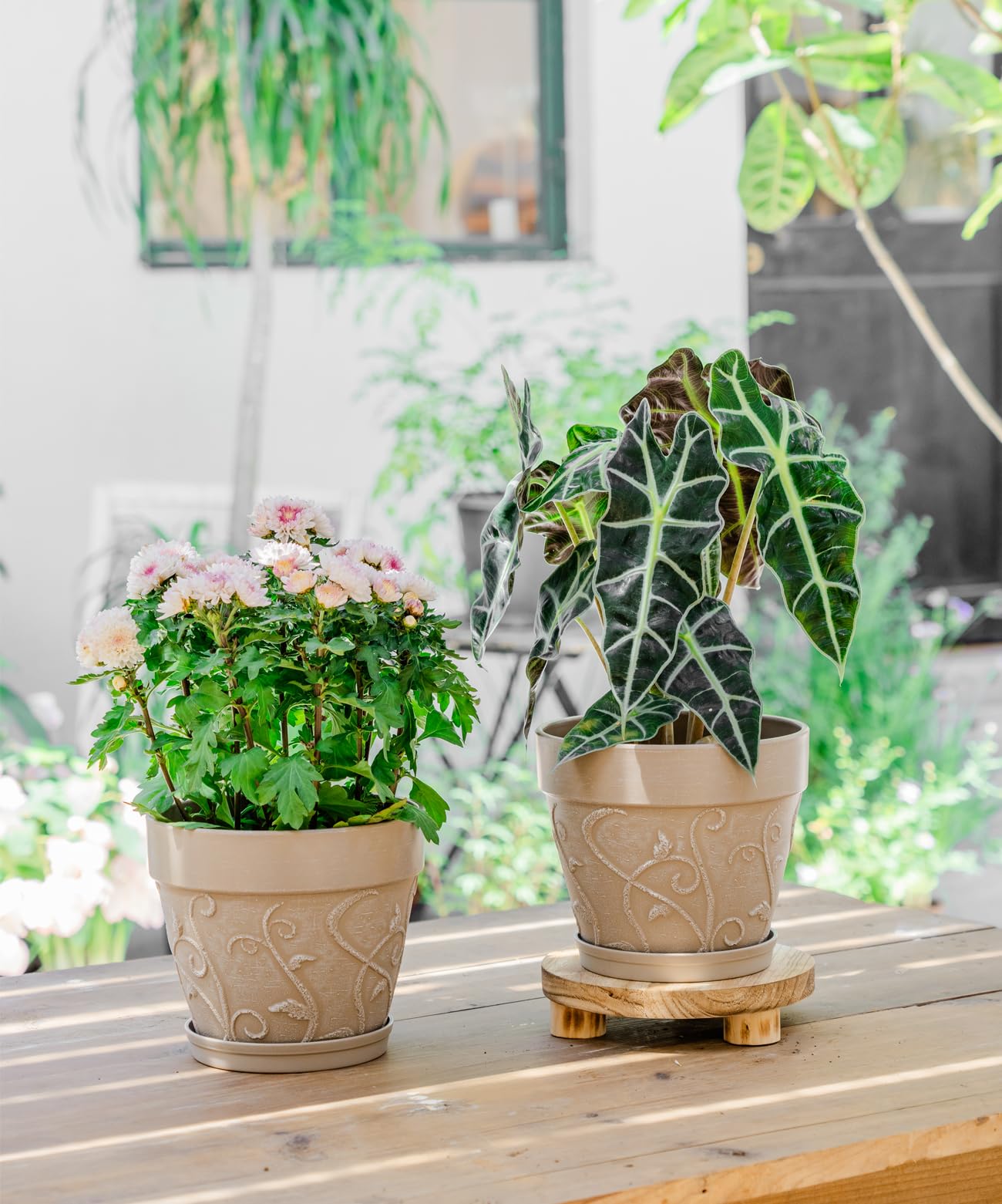 Melphoe Plant Pots Indoor with Drainage & Saucer, 2Pack 8 inch Flower Pots Outdoor Planters for Indoor Plants Garden Home Decor Cactus Succulent, Rigid Plastic (Imitation-Terracotta) Vine-Embossed