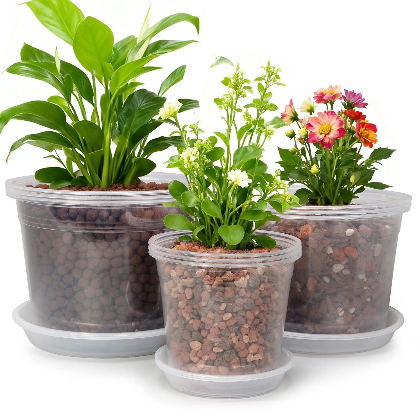 WTXHOP 6/8/10 Inch Large Size Clear Nursery Pots with Drainage and Saucers, 9 Pack Plastic Plant Pots for Seedling Starter, Durable Plastic Pots for Indoors
