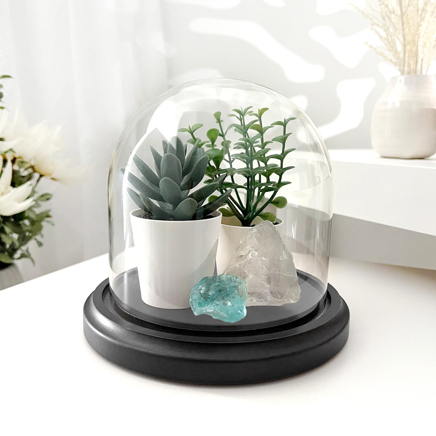 Plymor 5.5" x 5.5" Glass Display Dome Cloche (Black MDF Wood Base)