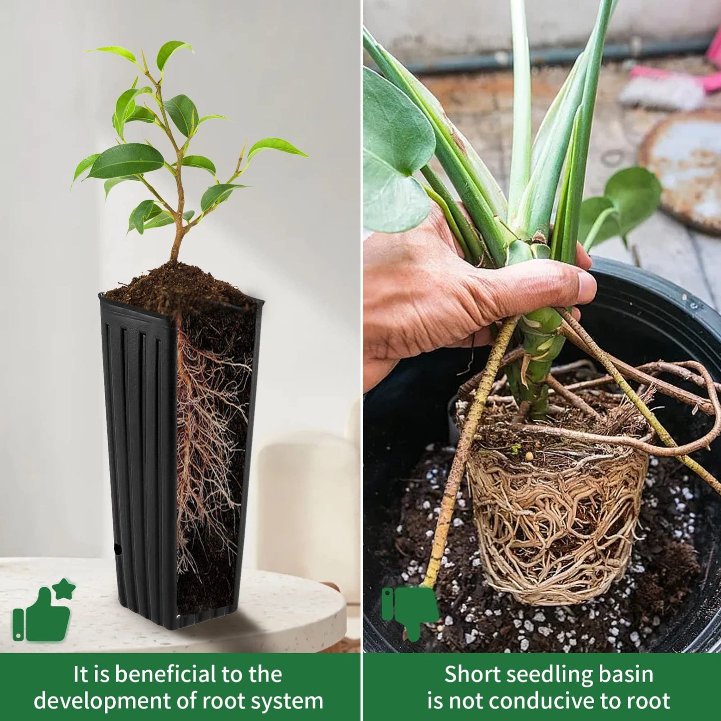 Hzloyat 20 Pcs Plastic Deep Nursery Pots,9.8" Tall Tree Pots,Tall Nursery Tree Pots Plant Deep Seedling Pots, Flower Plant Container Pots with 3 Pcs Garden Tools for Indoor Outdoor Use
