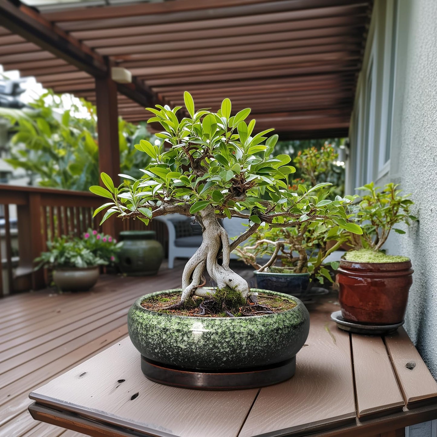 EPFamily Bonsai Pots - 13 Inch Ceramic Succulent Planters Indoor, Round Shallow Planter with Drainage Hole and Saucer, Large Succulent Pot, Bowl Planter Outdoor, House Decor, Housewarming Gift, Green